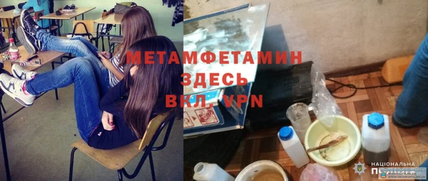 крисы Бронницы